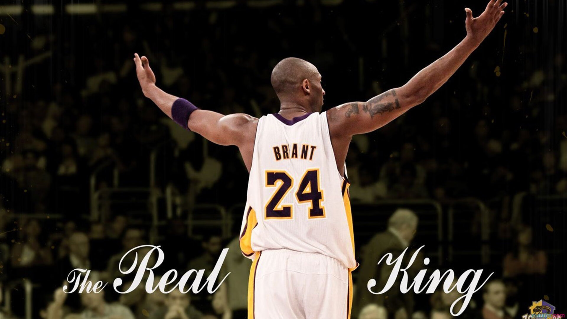 伦纳德关键一击定乾坤,公牛提前终结悬念辽宁队无缘决赛